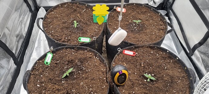 Growreport Bild 3