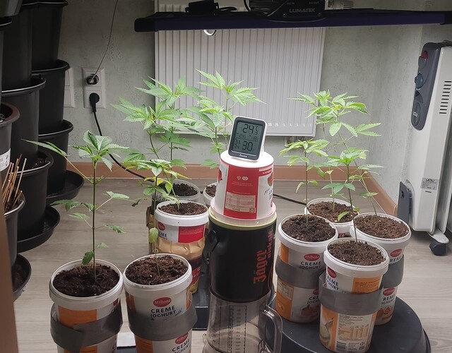 IMG_20230210_105657-01