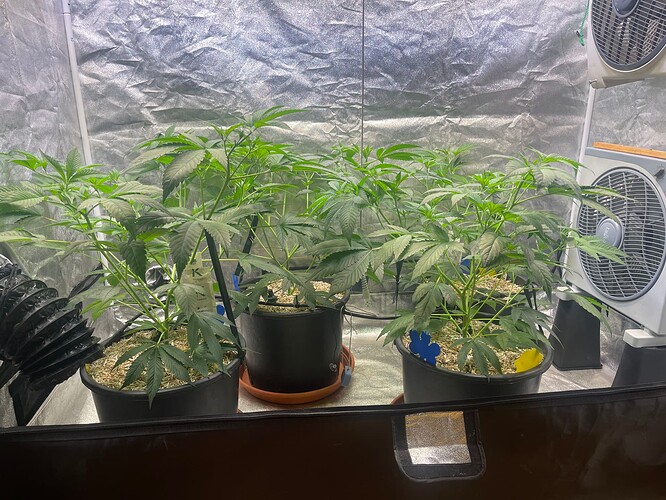 Growreport Bild 10