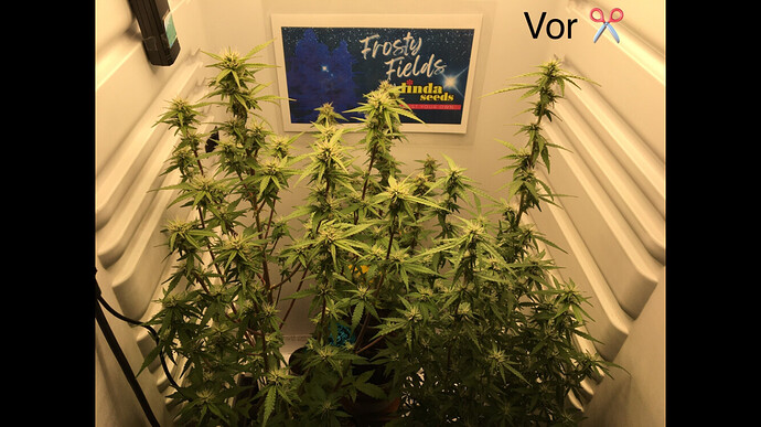 Growreport Bild 13