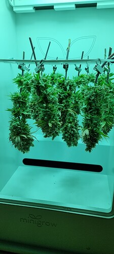 Growreport Bild 14