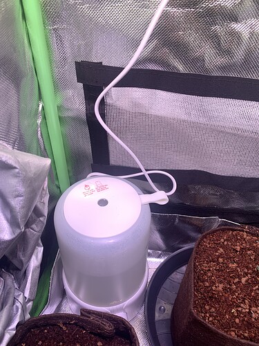 Growreport Bild 5