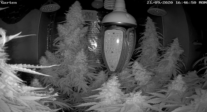 Growreport Bild 7