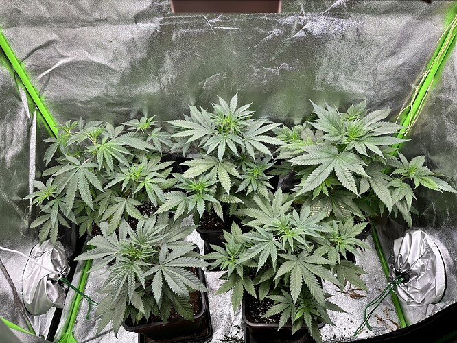Growreport Bild 17