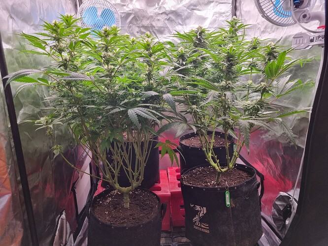 Growreport Bild 18
