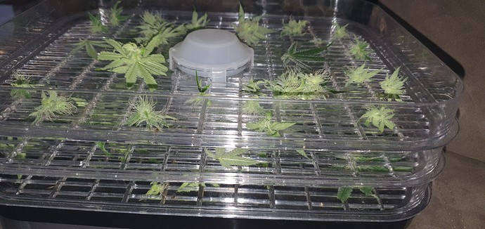 Growreport Bild 5