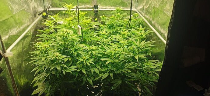 Growreport Bild 13
