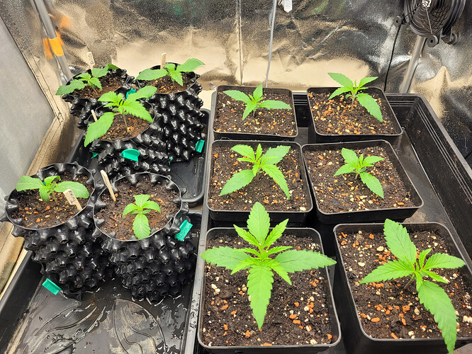 Growreport Bild 10