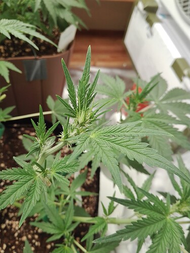 Growreport Bild 15
