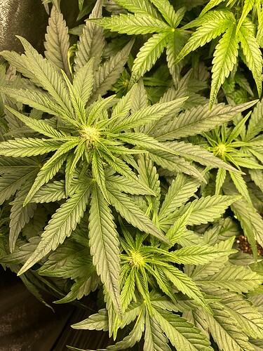 Growreport Bild 7