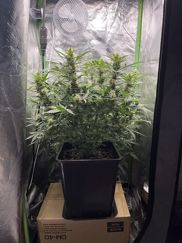 Growreport Bild 16