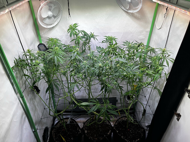 Growreport Bild 7