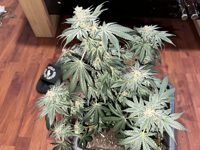 Growreport Bild 14