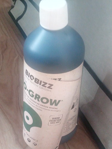 Growreport Bild 68