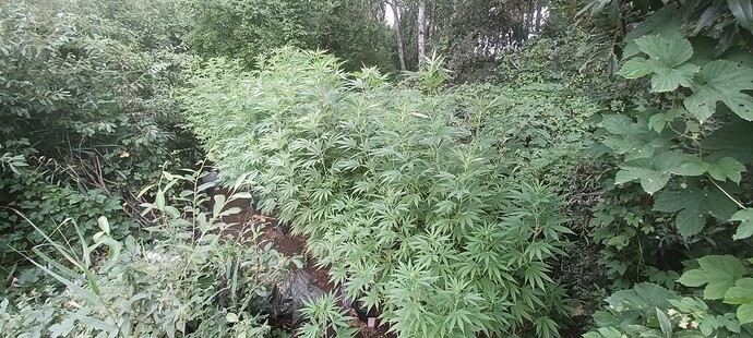Growreport Bild 8