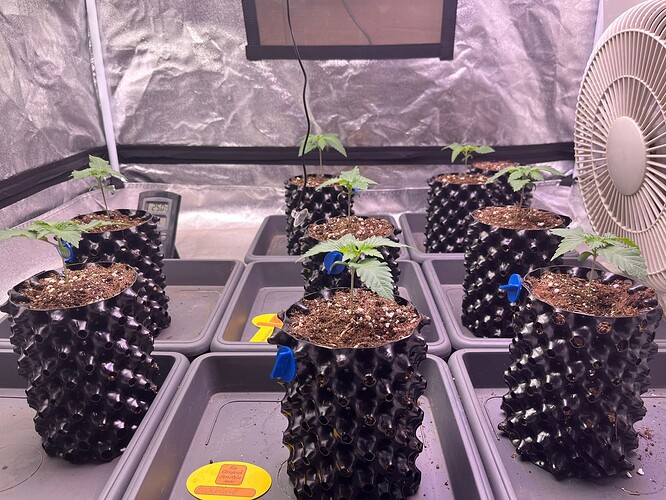 Growreport Bild 2