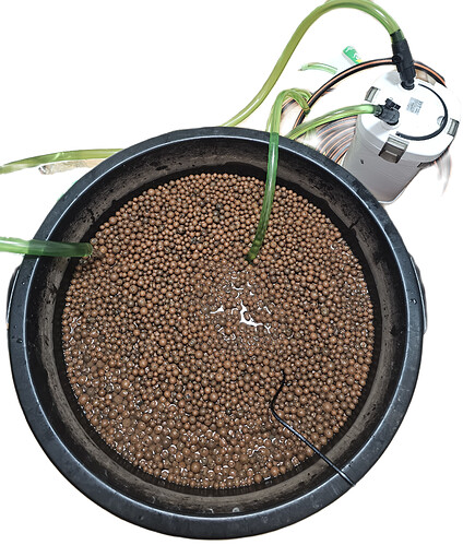 Growreport Bild 1