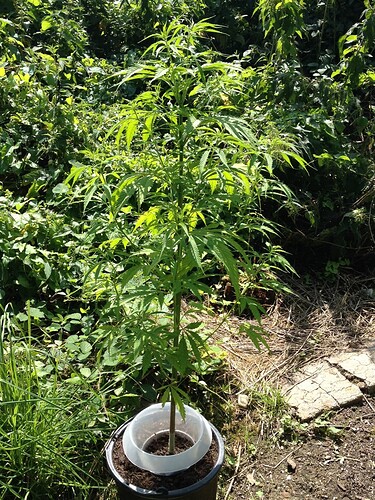 Growreport Bild 20
