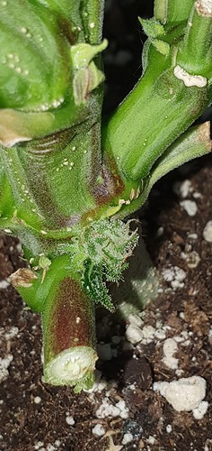 Growreport Bild 23