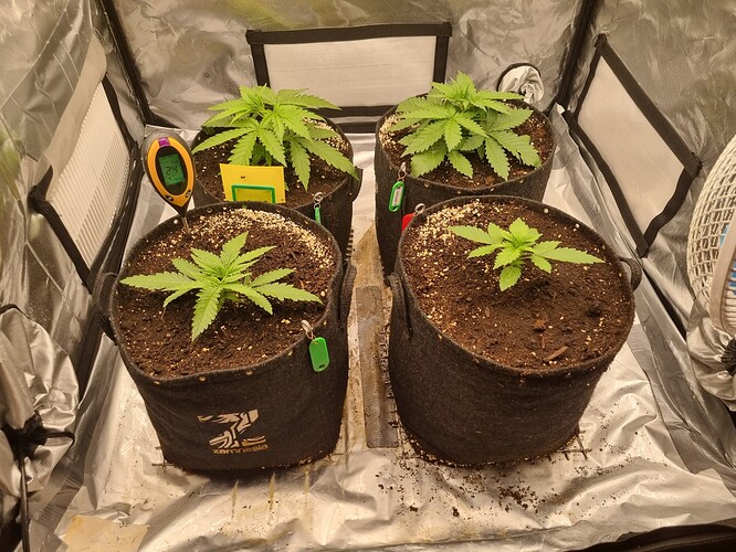 Growreport Bild 21