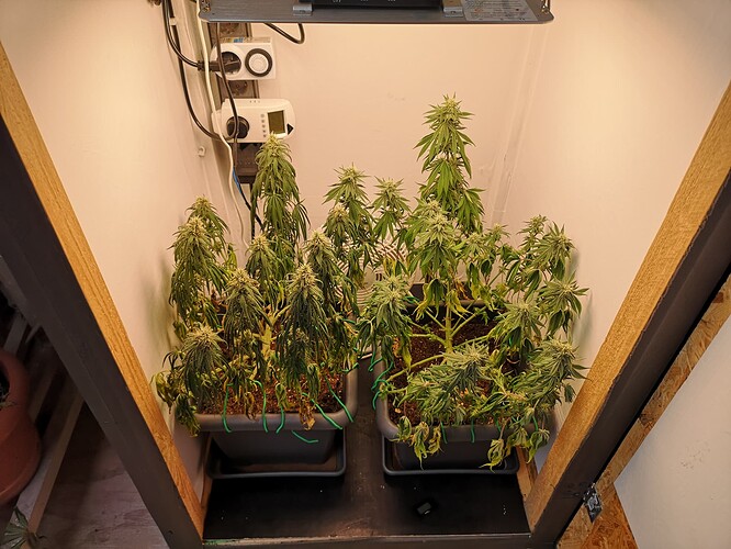 Growreport Bild 2