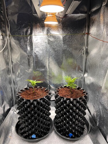 Growreport Bild 12