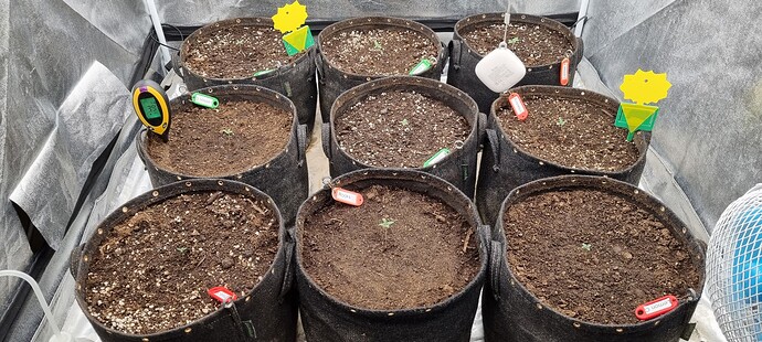 Growreport Bild 47