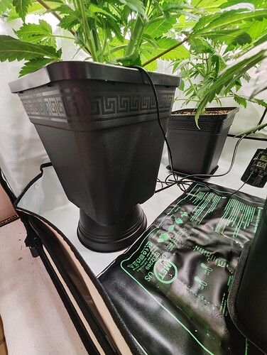 Growreport Bild 21