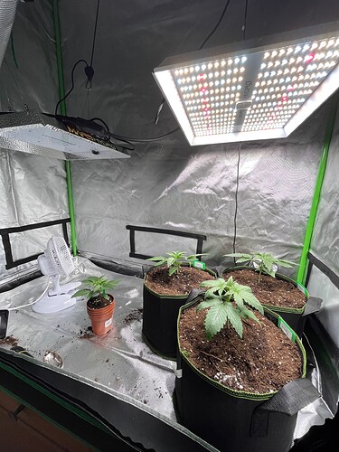 Growreport Bild 7