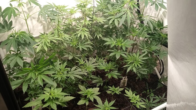 Growreport Bild 5