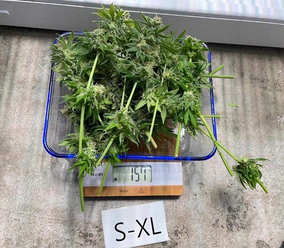 Growreport Bild 6