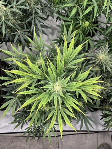 Growreport Bild 5