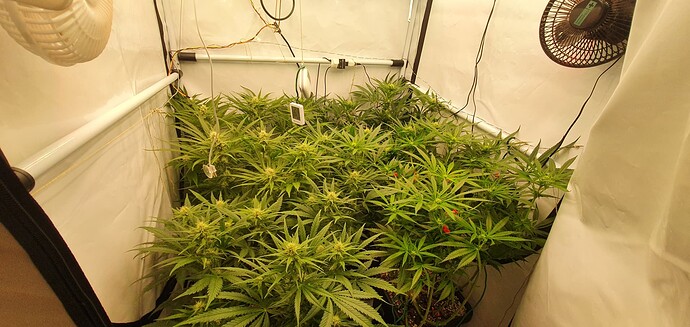 Growreport Bild 8