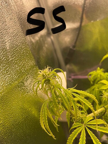 Growreport Bild 2