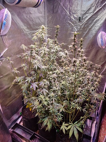Growreport Bild 18