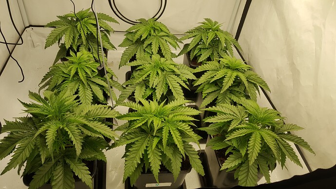 Growreport Bild 2