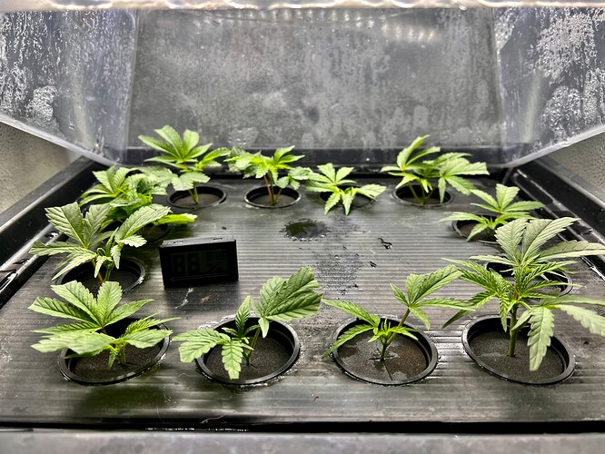Growreport Bild 13