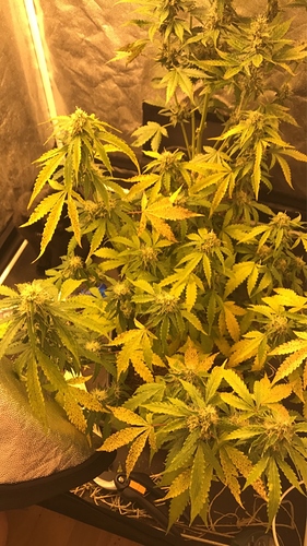 Growreport Bild 10