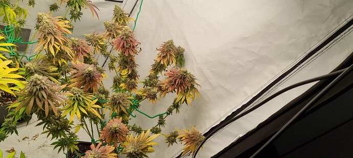 Growreport Bild 10