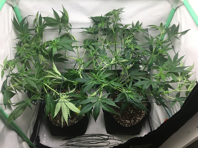Growreport Bild 22