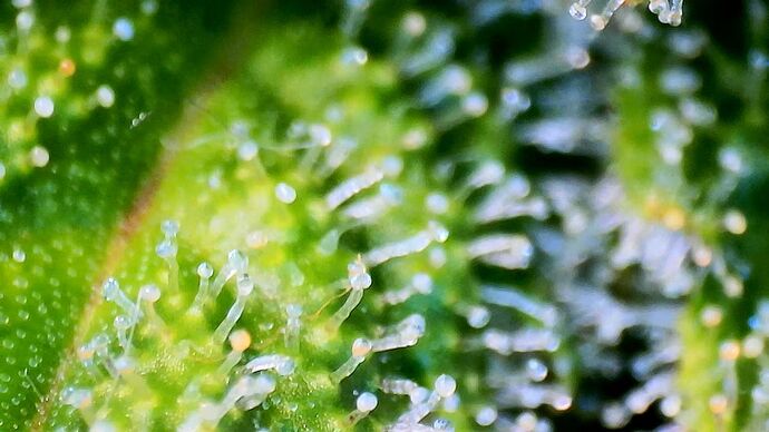 Growreport Bild 10