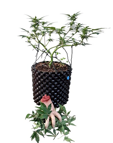Growreport Bild 9