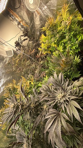 Growreport Bild 16