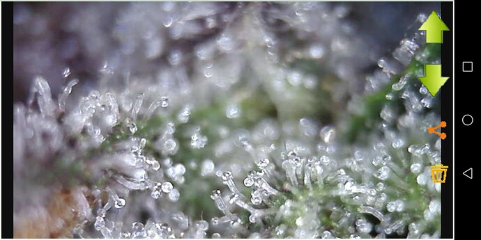 Screenshot_20230608-203752