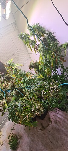 Growreport Bild 1