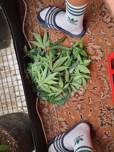 Growreport Bild 24
