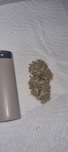 Growreport Bild 12