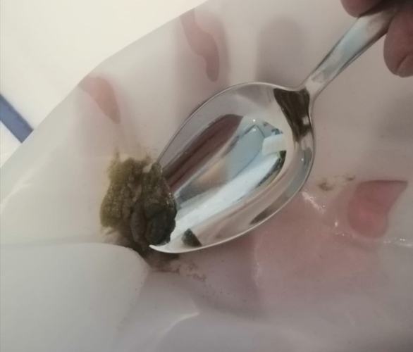 Growreport Bild 4