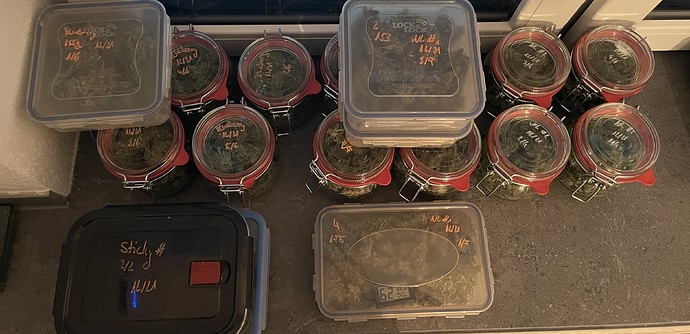 Growreport Bild 18