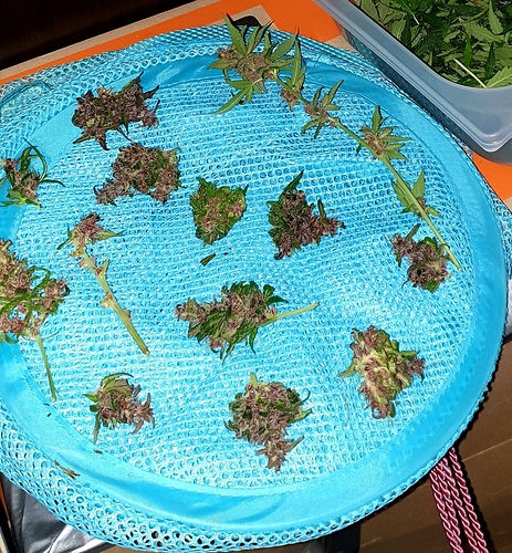 Growreport Bild 4
